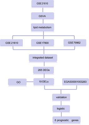 Screening of Lipid Metabolism-Related Gene Diagnostic Signature for Patients With Dilated Cardiomyopathy